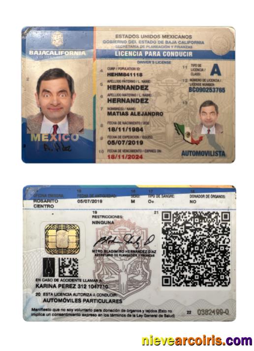 Mexico Baja California state driving license